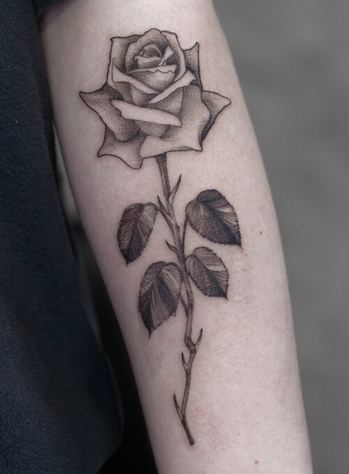 tatuaż róży